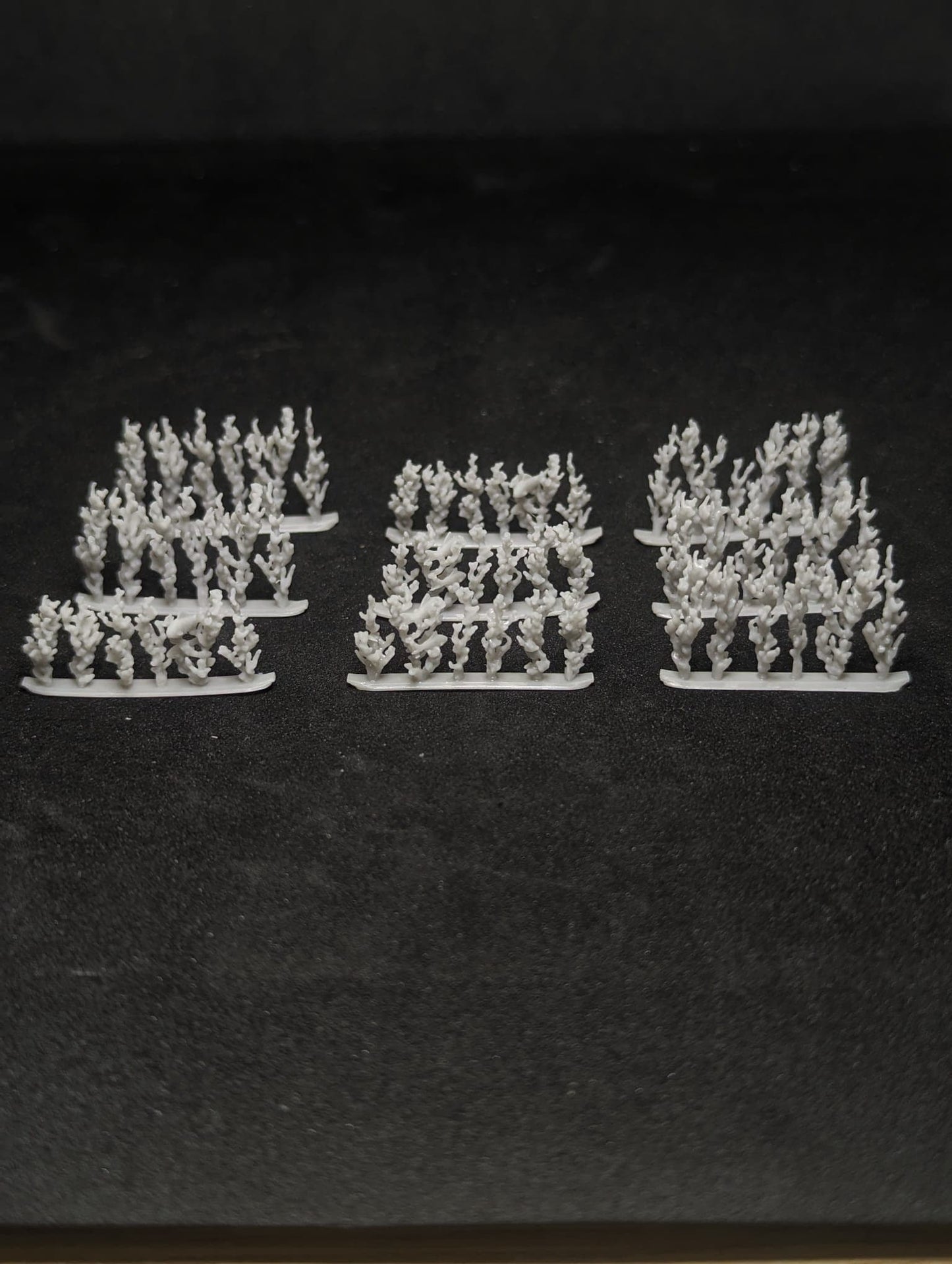 Coral for Scenery / Terrain