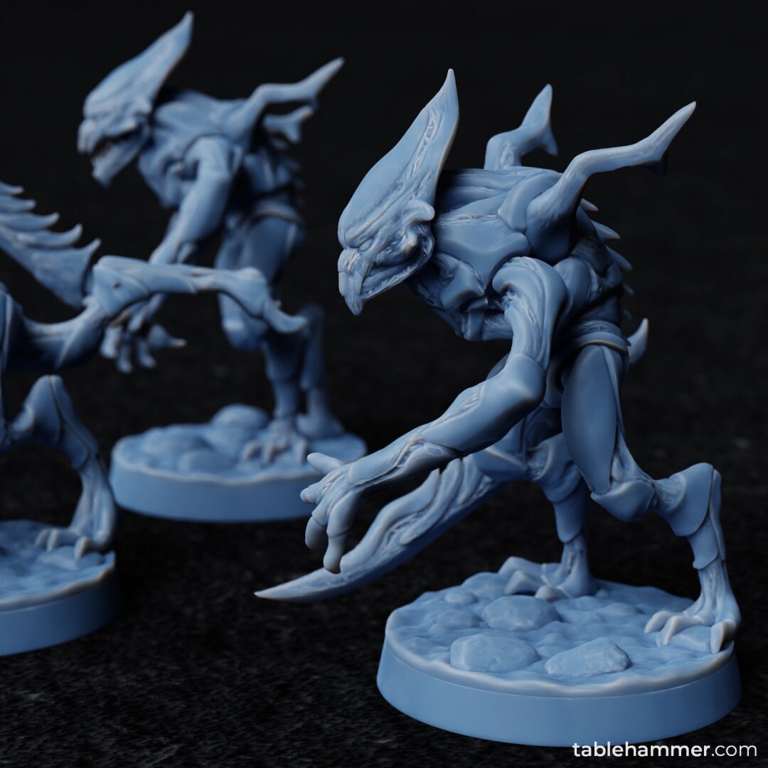 Voidborne Daemonids Sword bearers