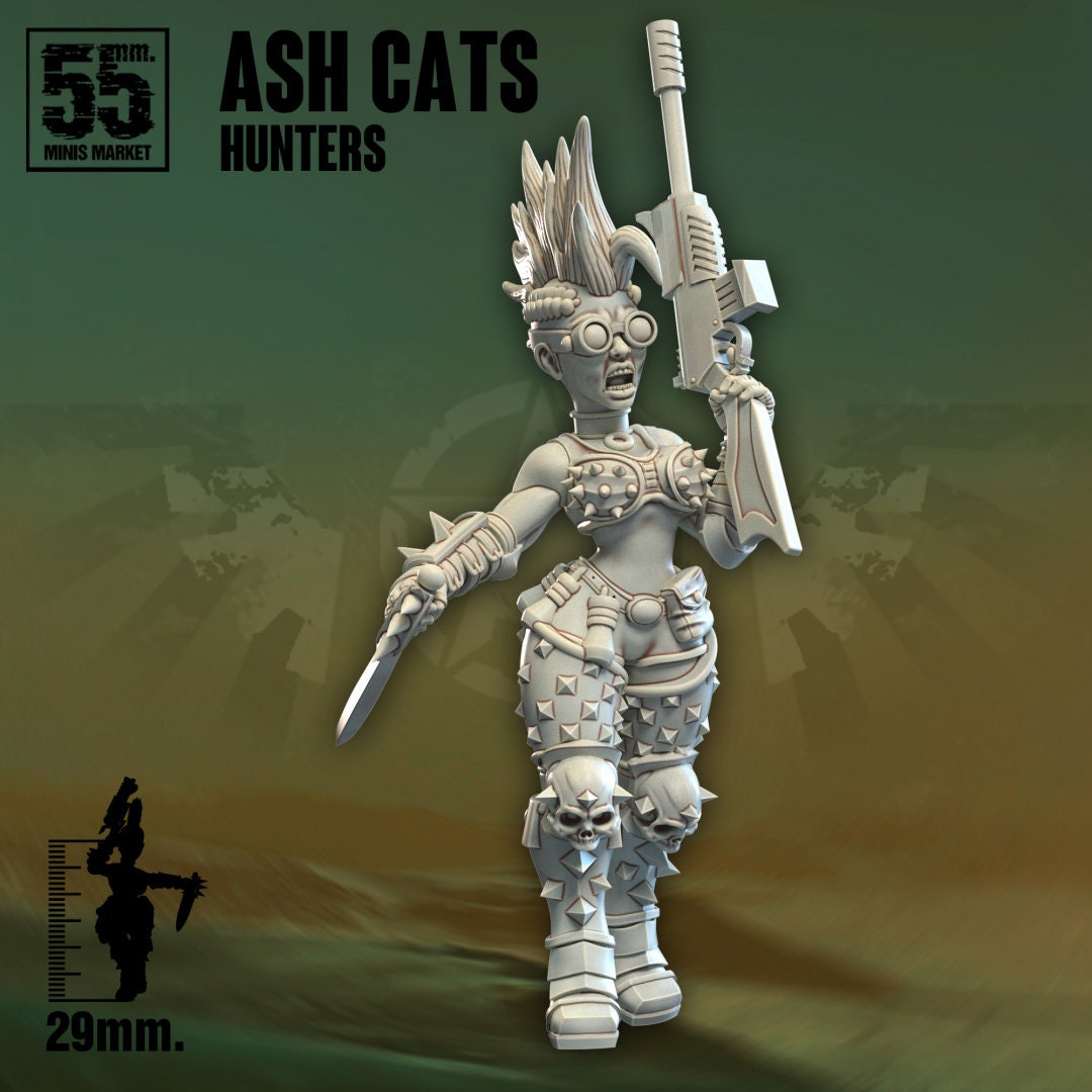 Ash Cats Hunters