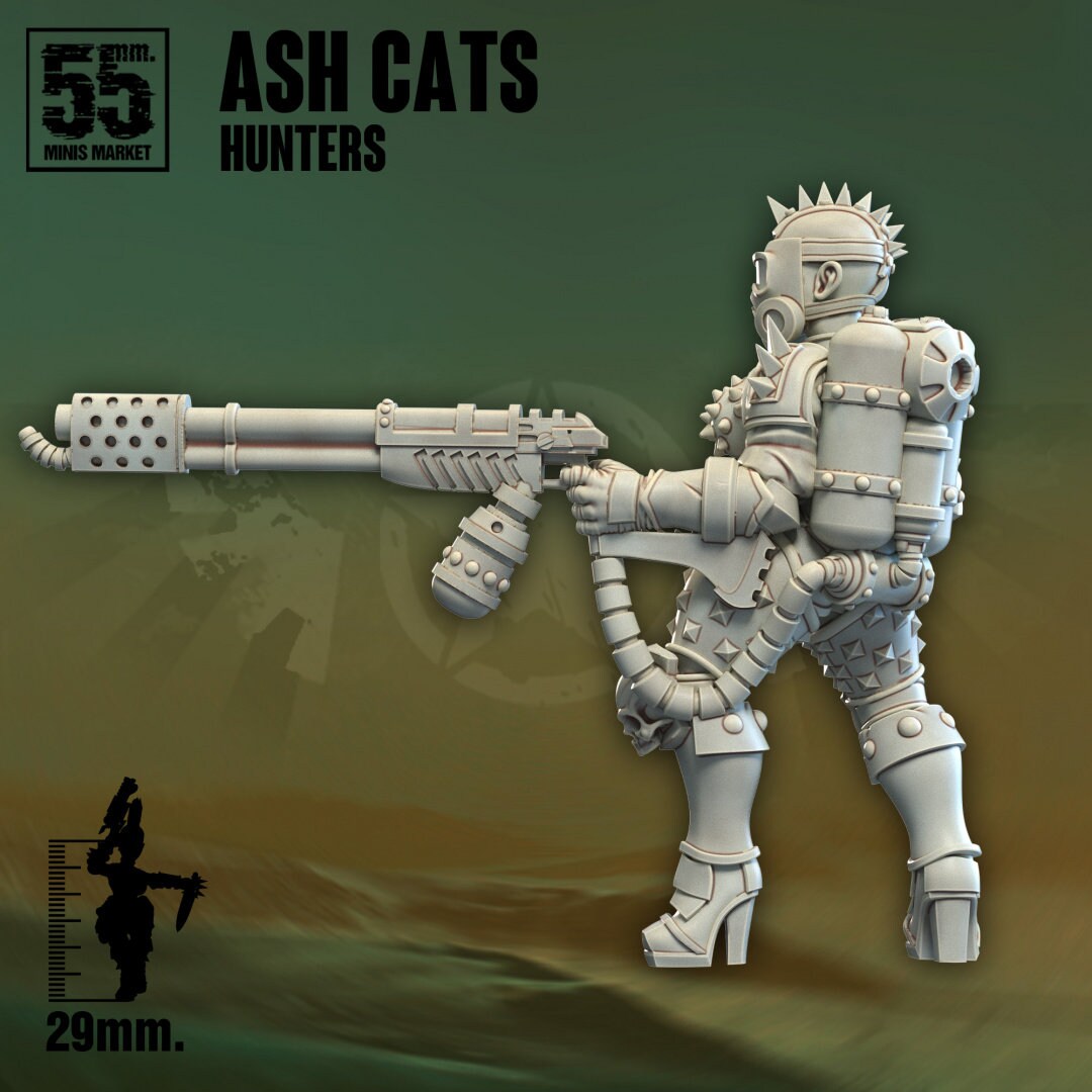 Ash Cats Hunters