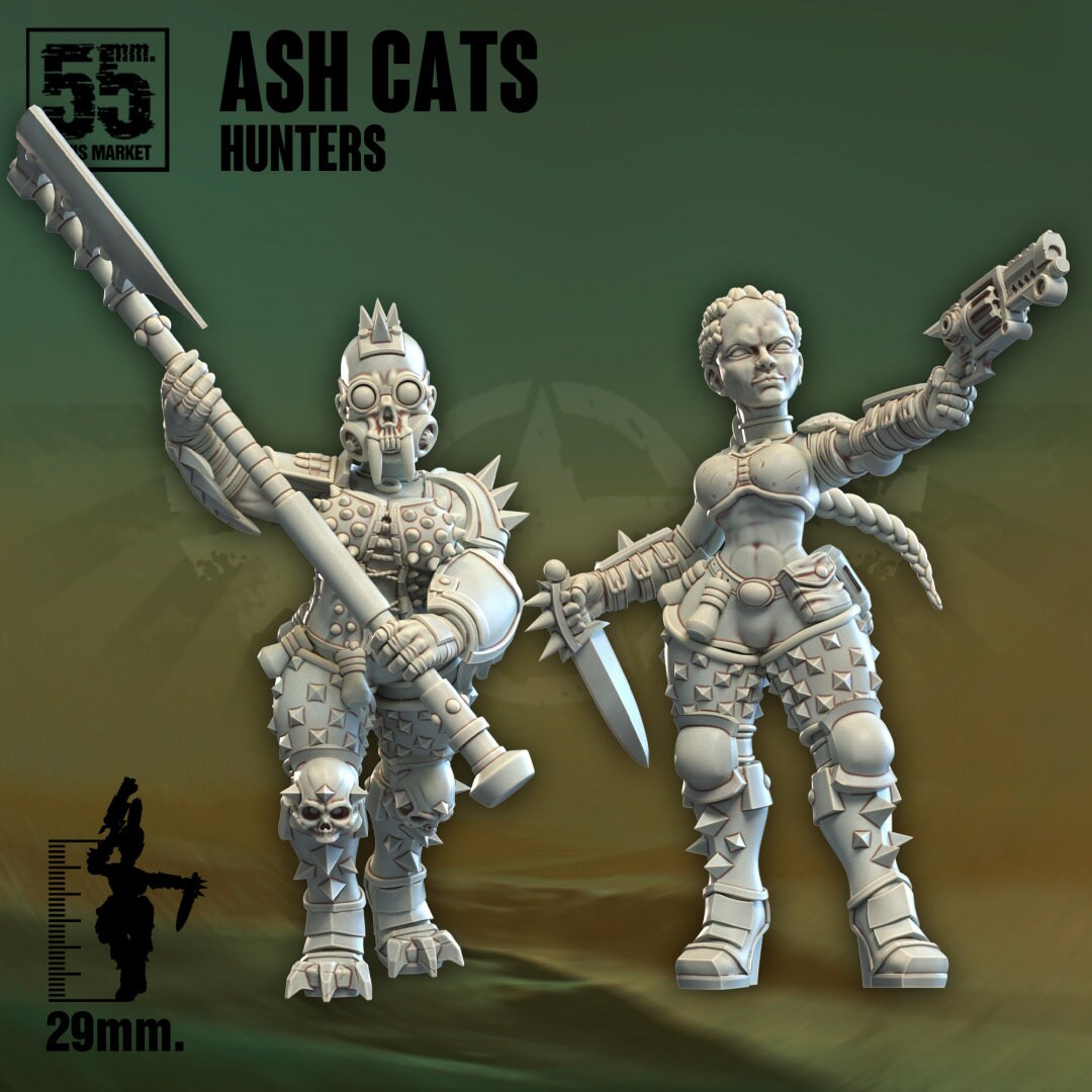 Ash Cats Hunters