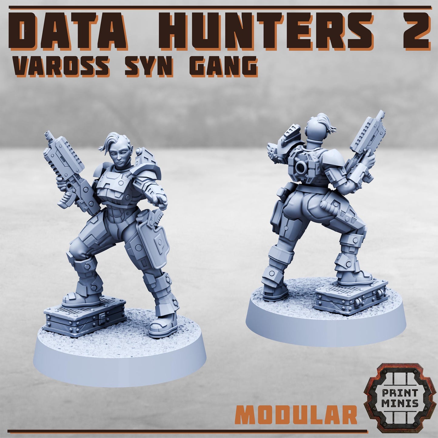 Data Hunters 2.0 - Vaross Syn