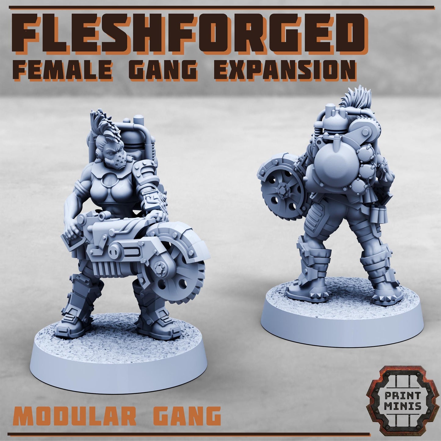 The Fleshforged - Female Gang