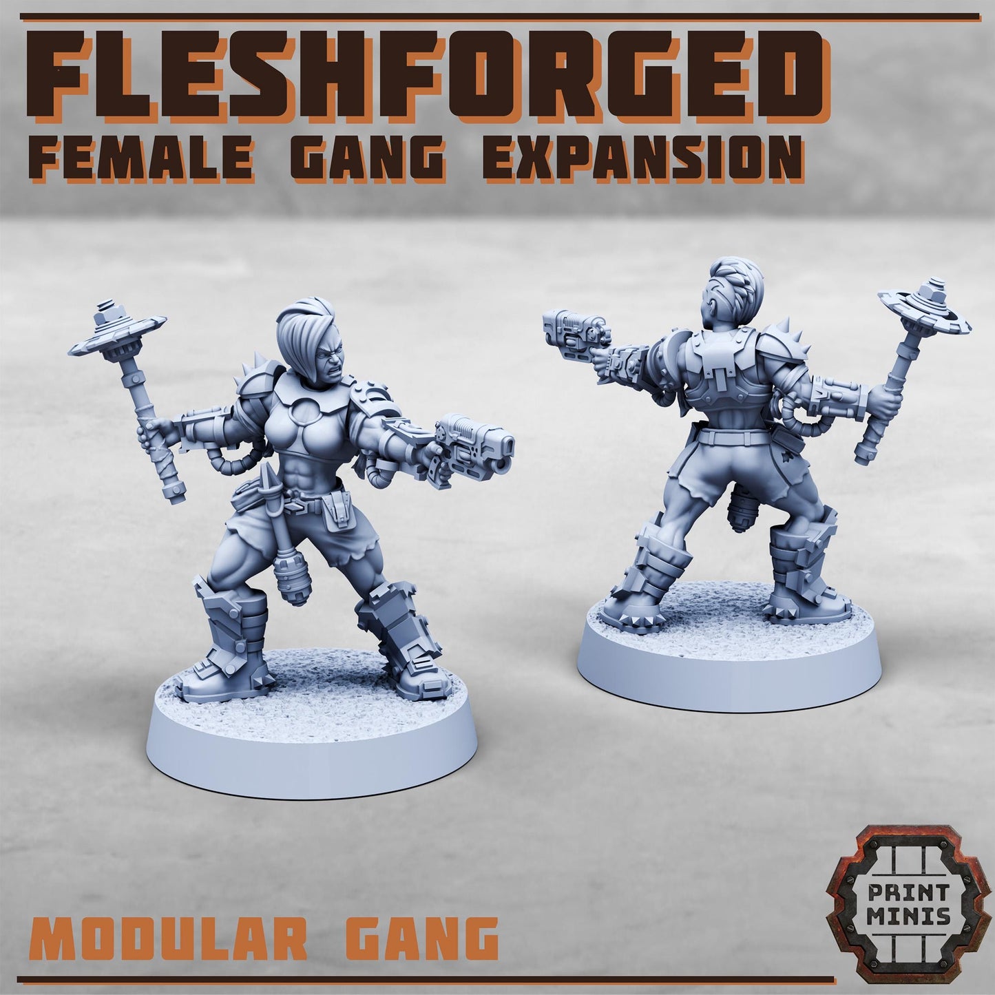 The Fleshforged - Female Gang