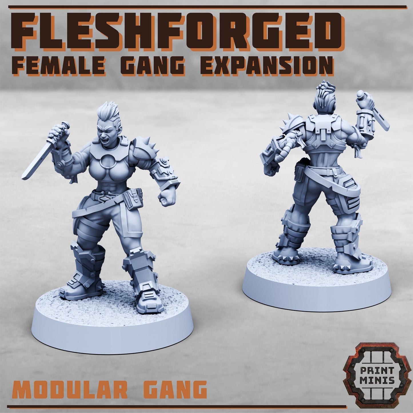 The Fleshforged - Female Gang