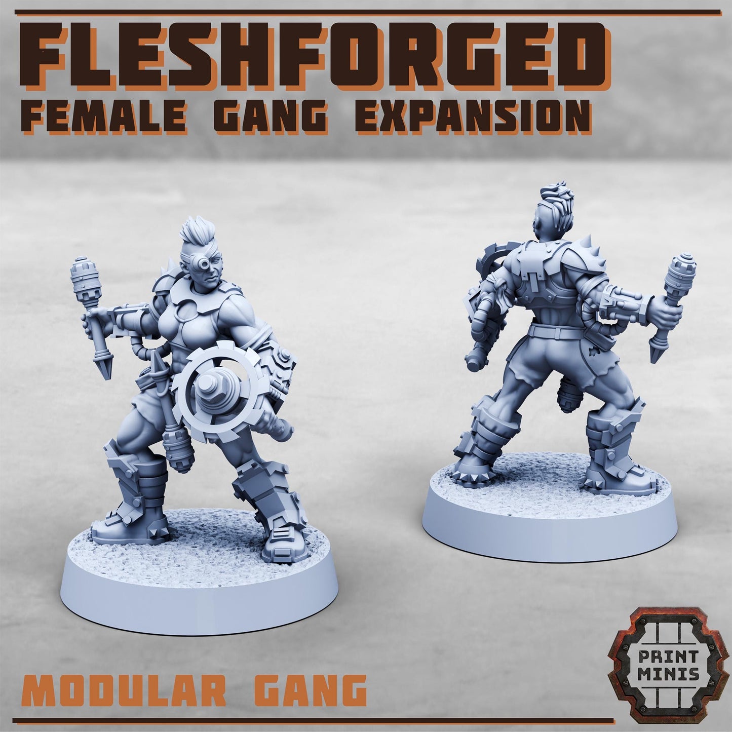 The Fleshforged - Female Gang