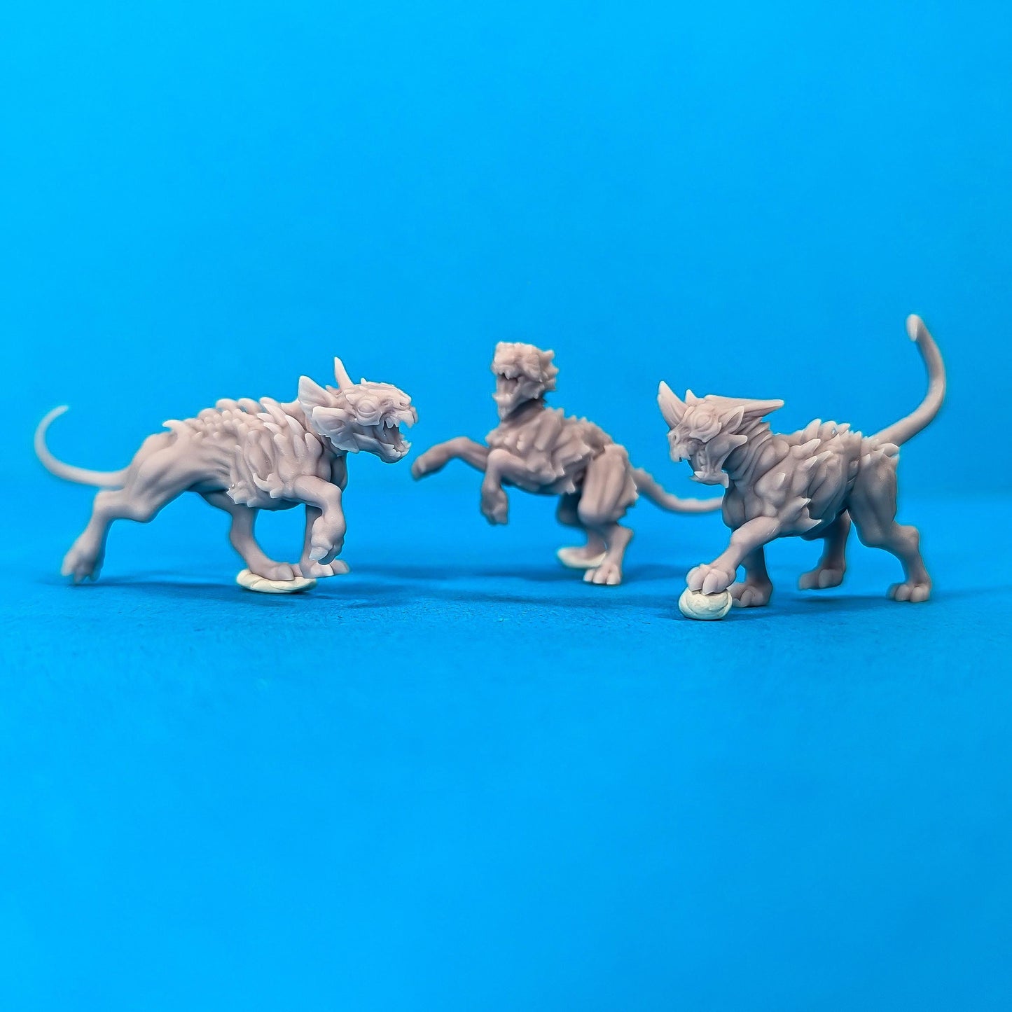 Stonekats x3 - Bitter Nightshade Pets