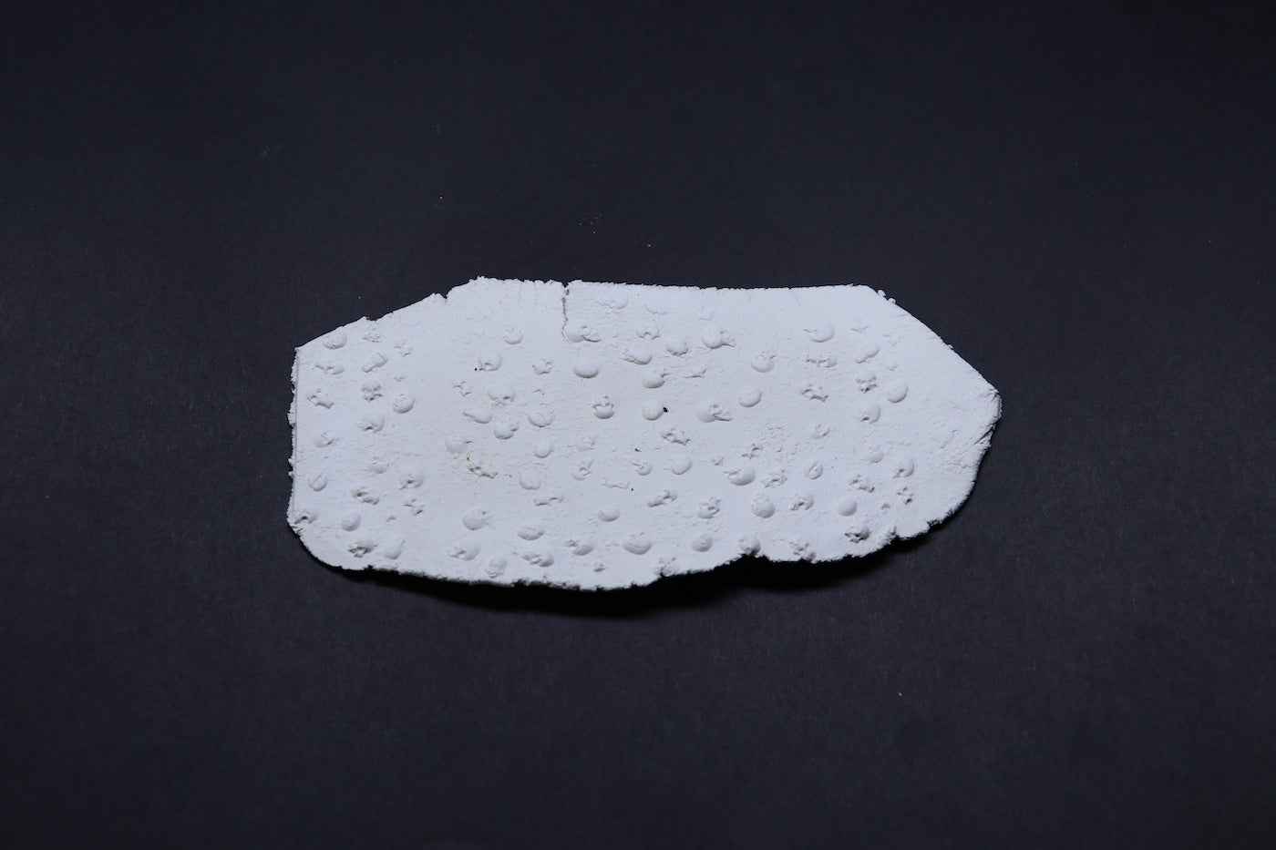 Fields of Skulls Texture Roller