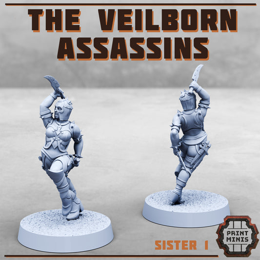 Veilborn Assassins