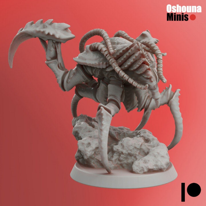 Assassin Shrimps - Deep Hive
