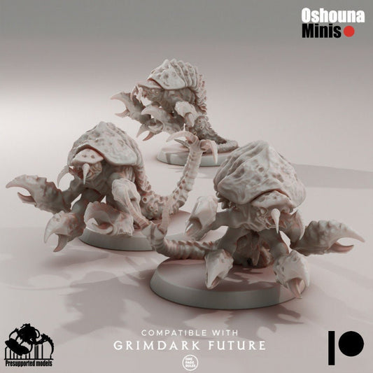 Alien Shrimps - Deep Hive