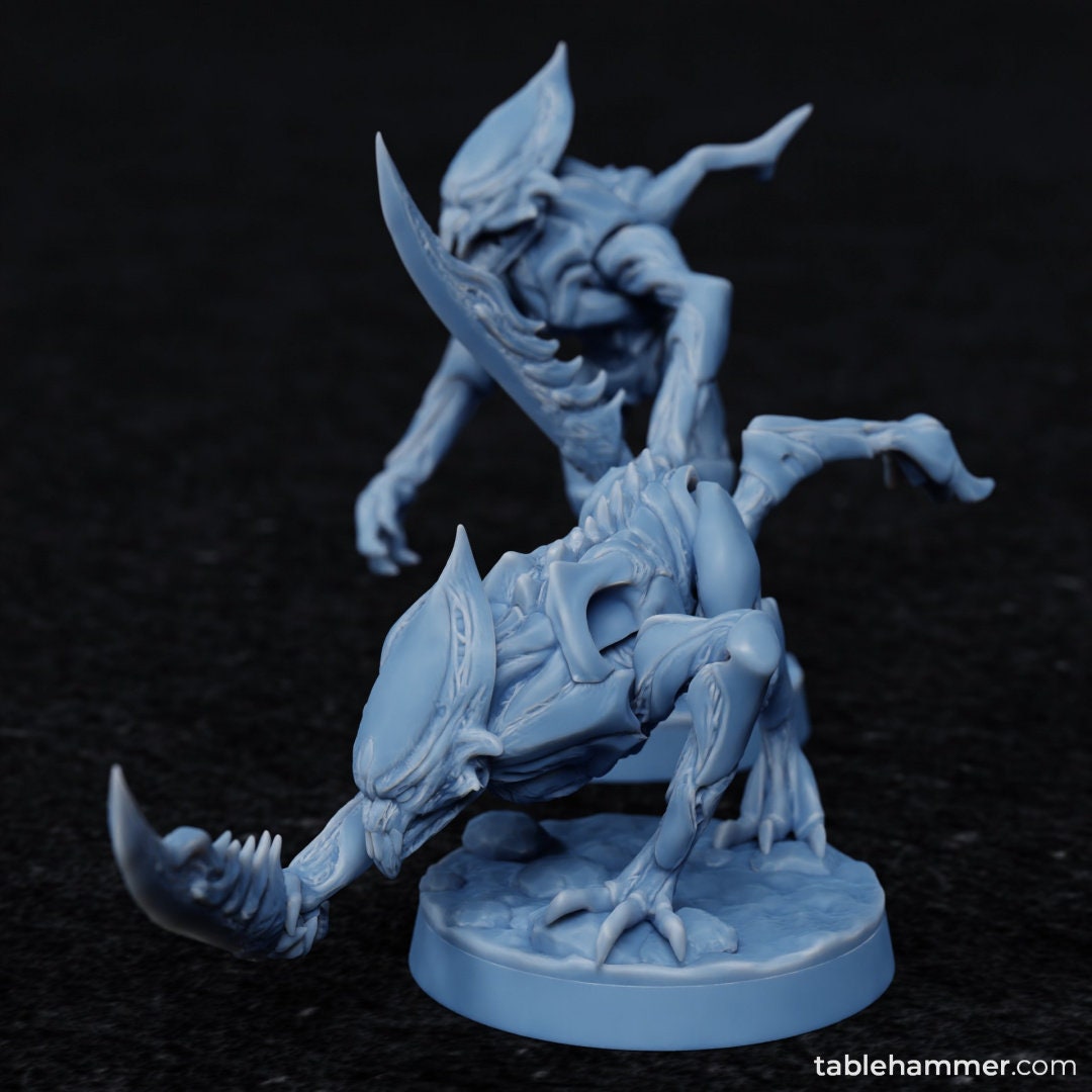 Voidborne Daemonids Sword bearers