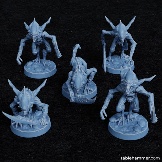 Voidborne Daemonids Sword bearers