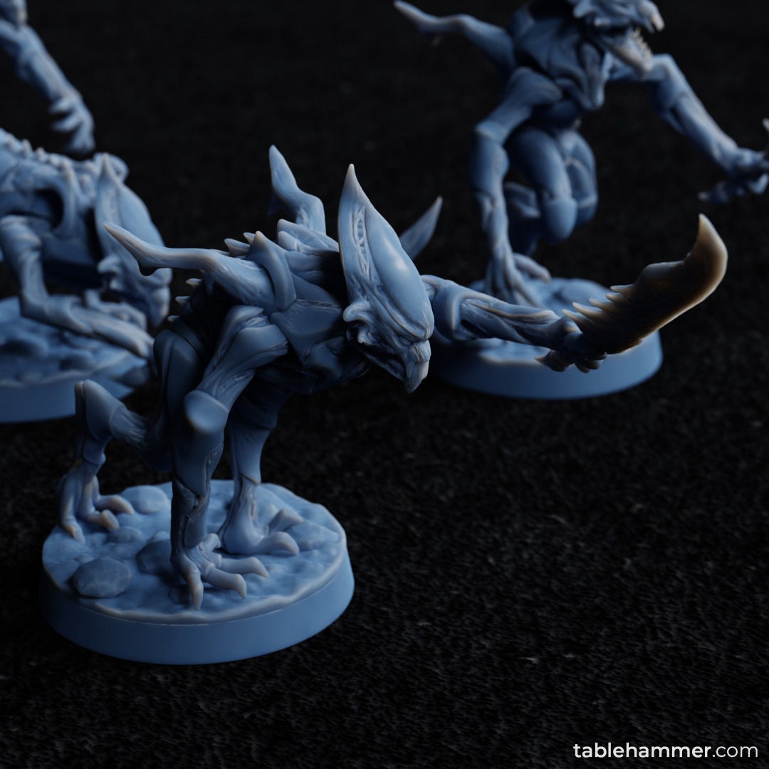 Voidborne Daemonids Sword bearers
