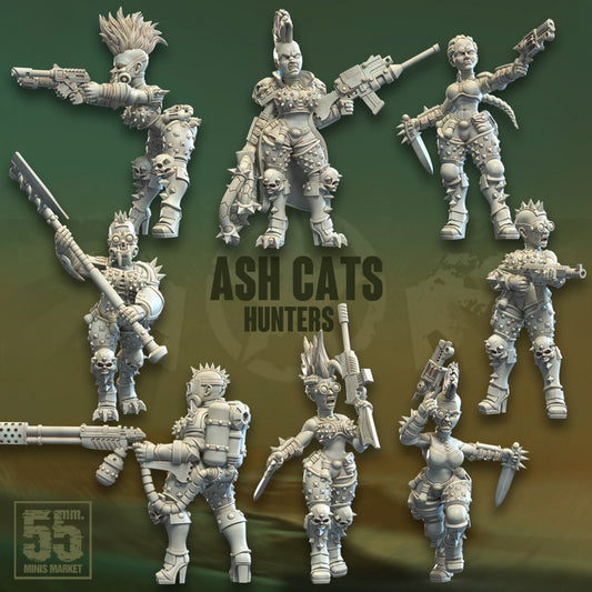 Ash Cats Hunters