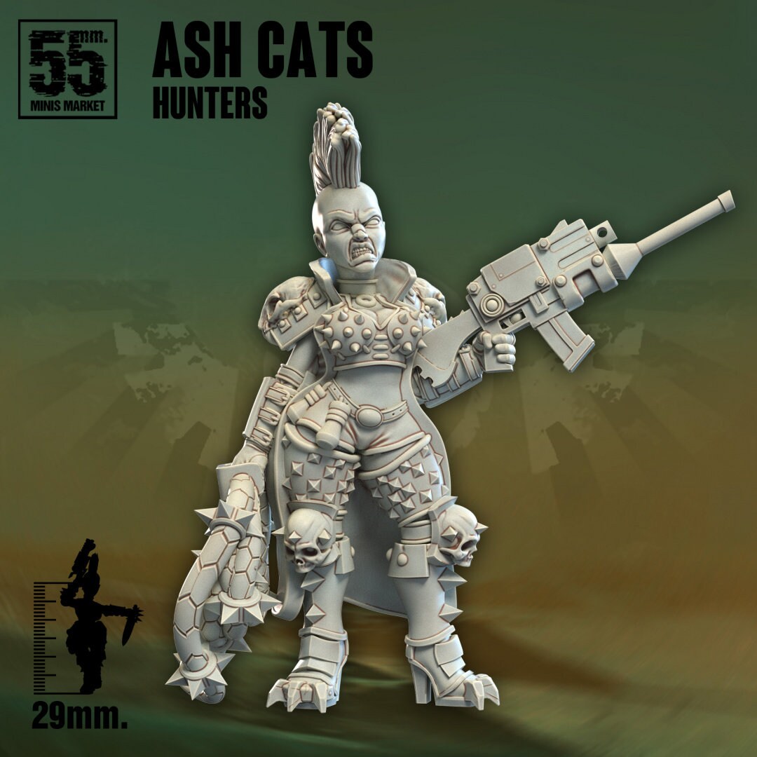 Ash Cats Hunters