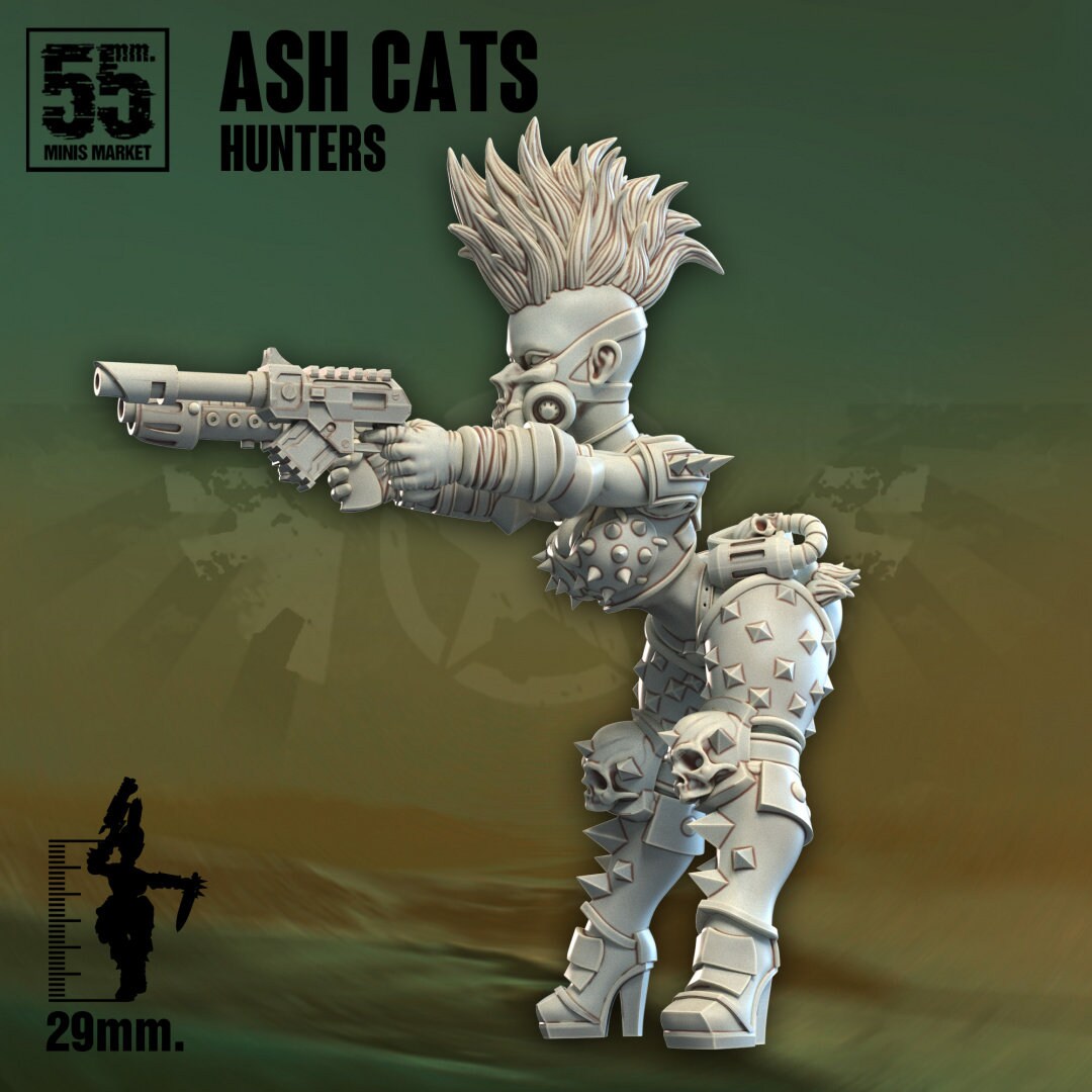 Ash Cats Hunters