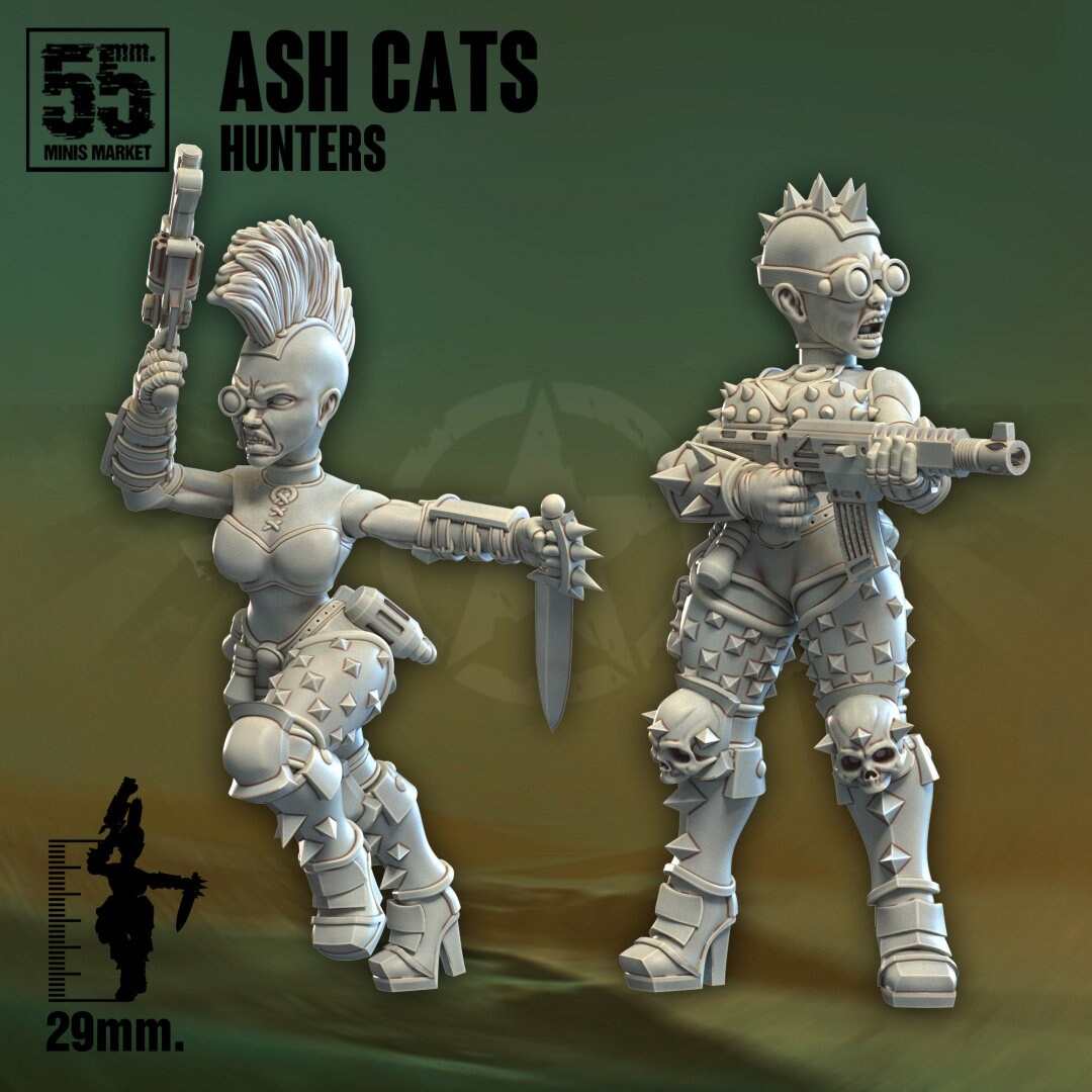 Ash Cats Hunters