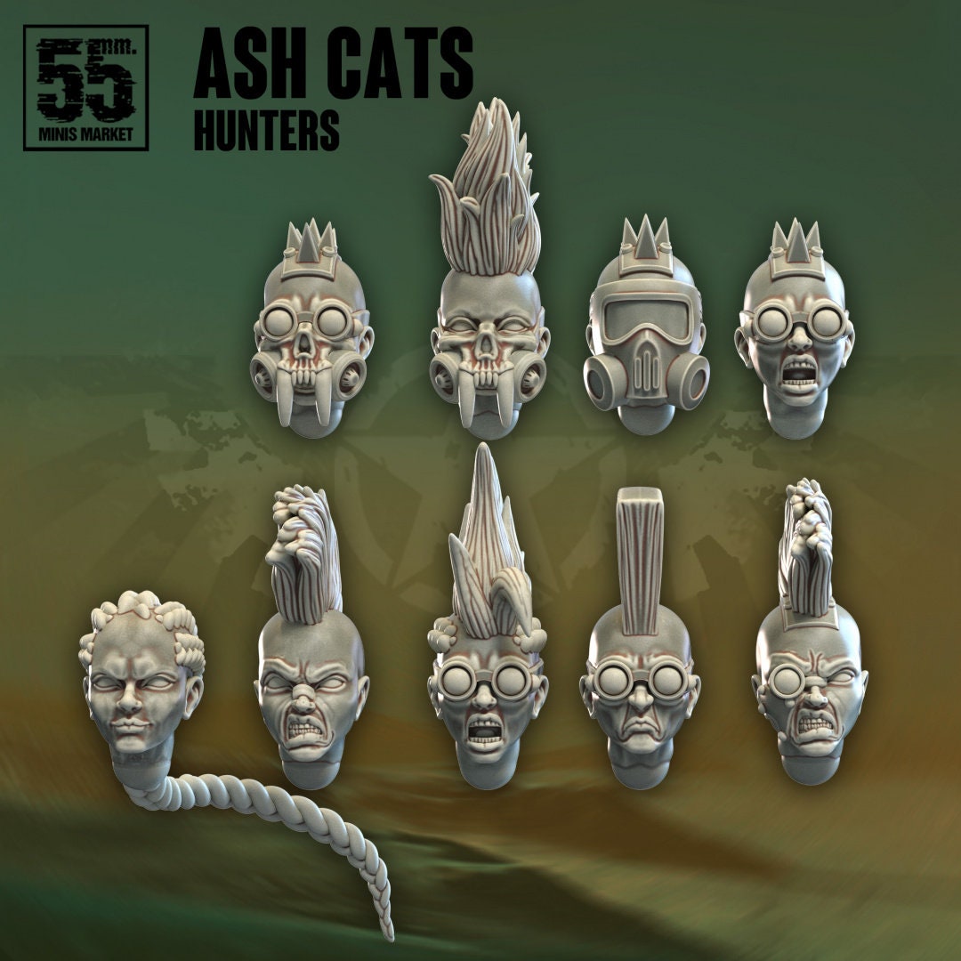 Ash Cats Hunters